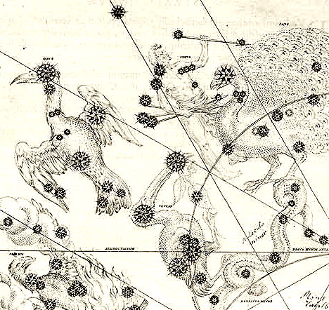 constellations Tucana, Pavo (Bayer, Uranometria-1603)