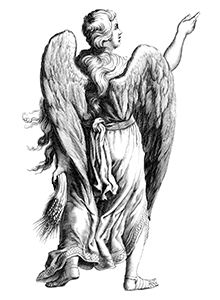 virgo (constellation)