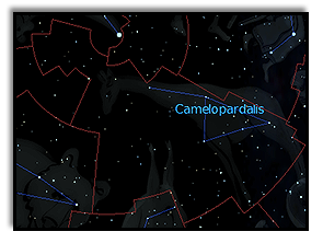 большое околополюсное созвездие Camelopardalis