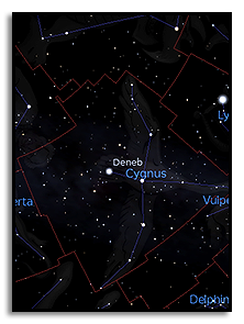 созвездие северного полушария звёздного неба Cygnus