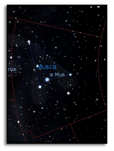 созвездие южного полушария неба Musca