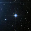 STAR -- GALINA SHISHKOVA (WH 1177-GAS-060215)