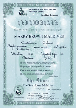 подарочный сертификат звезды