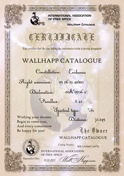 подарочный сертификат звезды