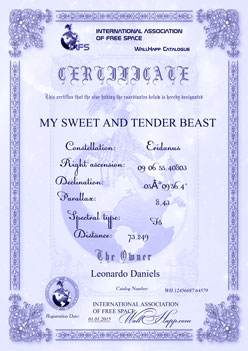 подарочный сертификат звезды