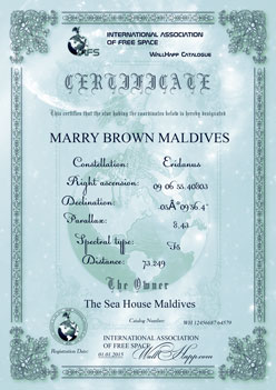 подарочный сертификат звезды