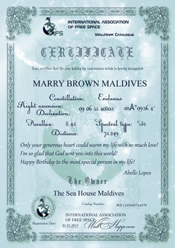 подарочный сертификат звезды