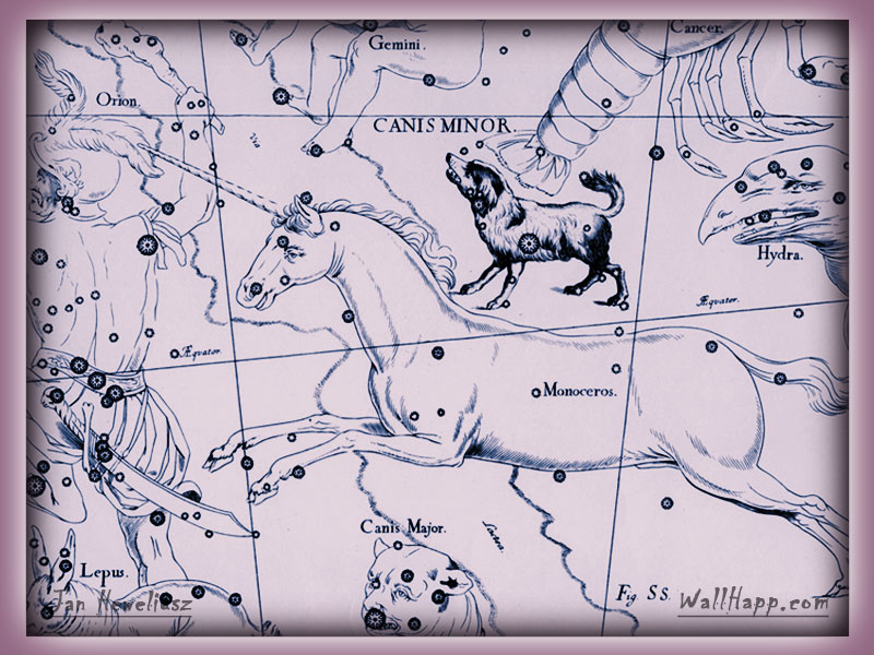 Johannes Hevel-canis-minor-major-monoceros-constellation