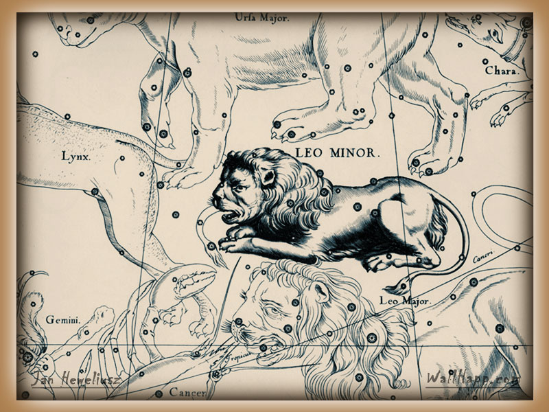 Johannes Hevelius - leo minor (constellation), star atlas Firmamentum Sobiescianum