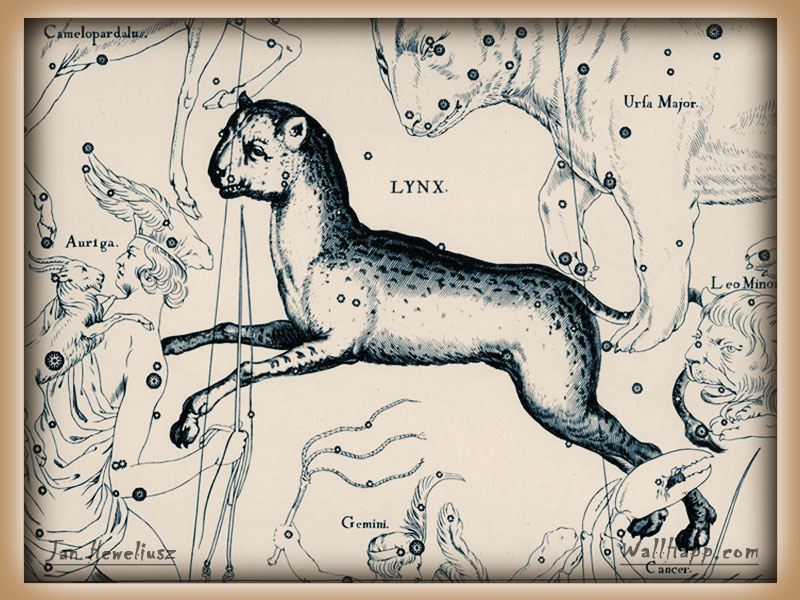 hevel-constellation-lynx-auriga